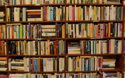 The 20 Books on My To-Read Pile